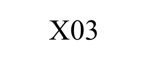  X03