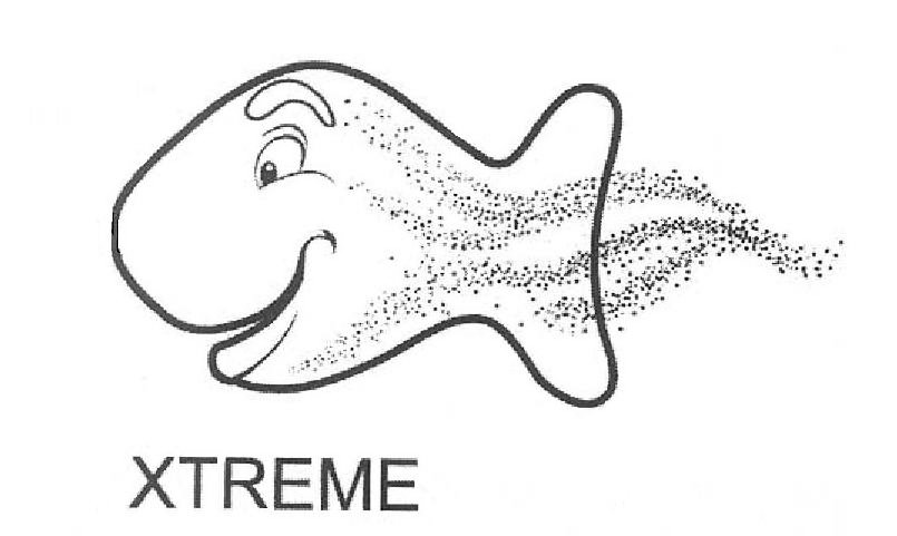 Trademark Logo XTREME