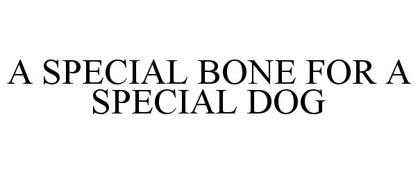  A SPECIAL BONE FOR A SPECIAL DOG