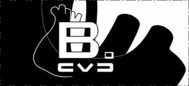 Trademark Logo BO CVD