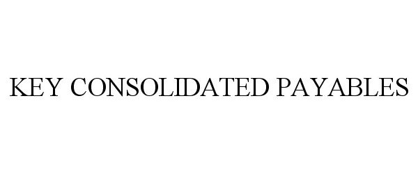  KEY CONSOLIDATED PAYABLES