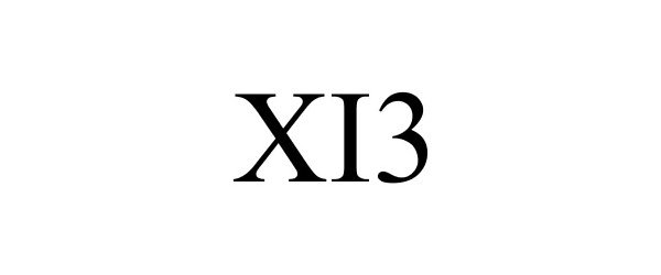 XI3