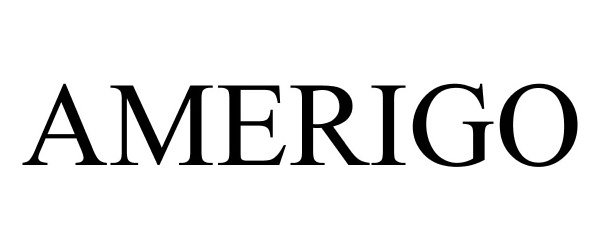 Trademark Logo AMERIGO