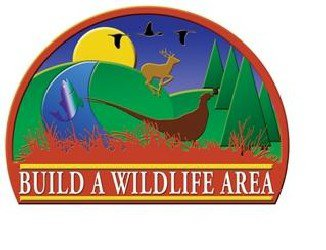  BUILD A WILDLIFE AREA