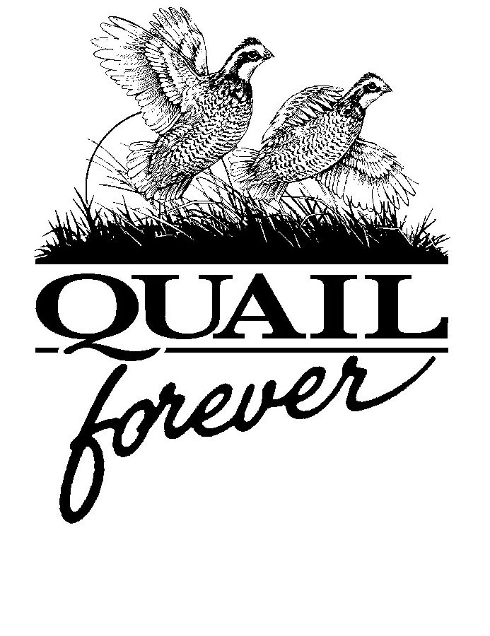  QUAIL FOREVER