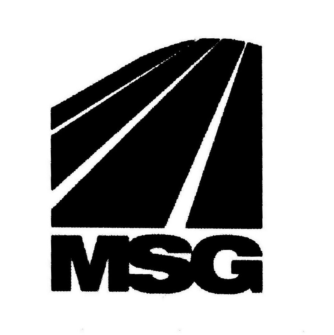  MSG