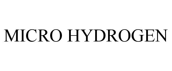  MICRO HYDROGEN