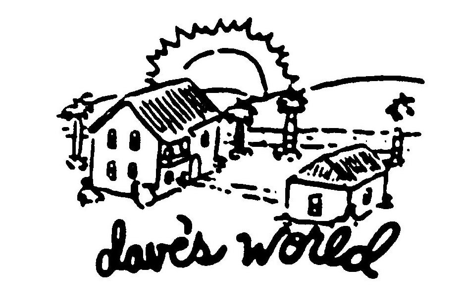 DAVE'S WORLD