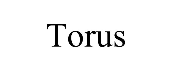 Trademark Logo TORUS