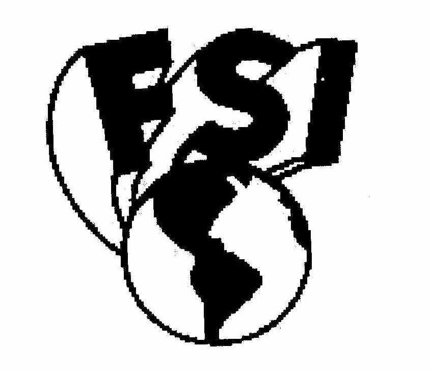 Trademark Logo FSI