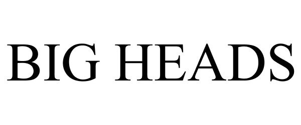 Trademark Logo BIG HEADS