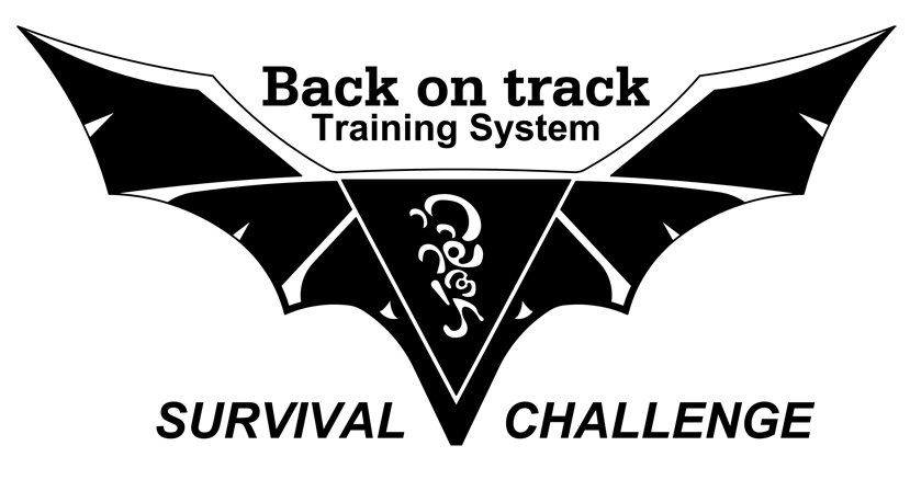Trademark Logo BACK ON TRACK TRAINING SYSTEM SURVIVAL CHALLENGE