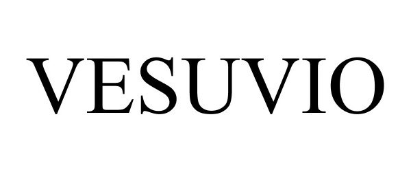 Trademark Logo VESUVIO