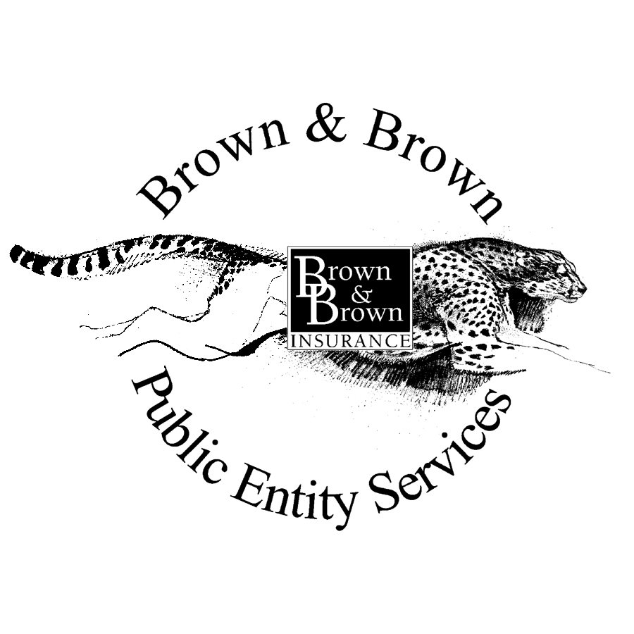 Trademark Logo BROWN &amp; BROWN PUBLIC ENTITY SERVICES BROWN &amp; BROWN INSURANCE