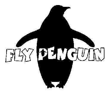  FLY PENGUIN