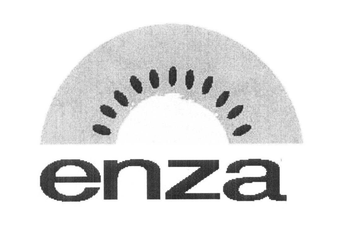 Trademark Logo ENZA