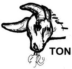  TON