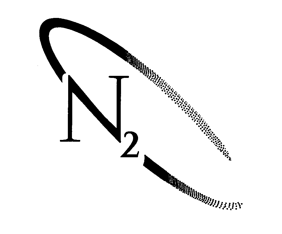 Trademark Logo N2