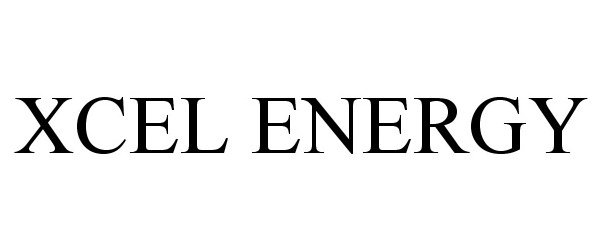  XCEL ENERGY