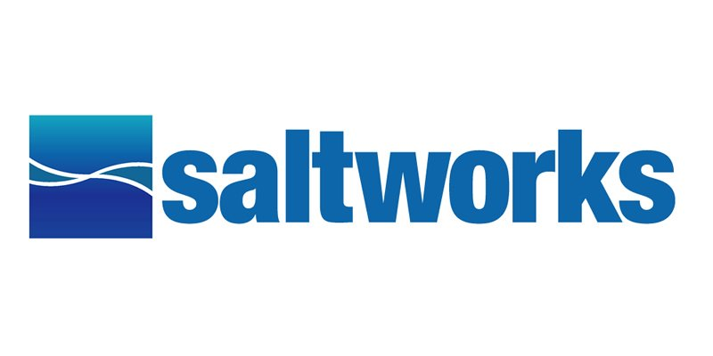 Trademark Logo SALTWORKS