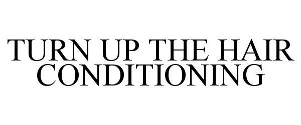  TURN UP THE HAIR CONDITIONING