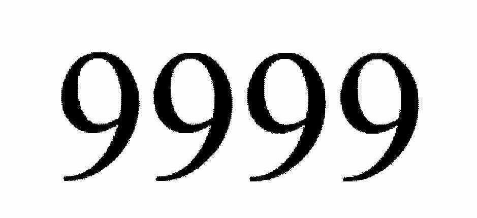 Trademark Logo 9999