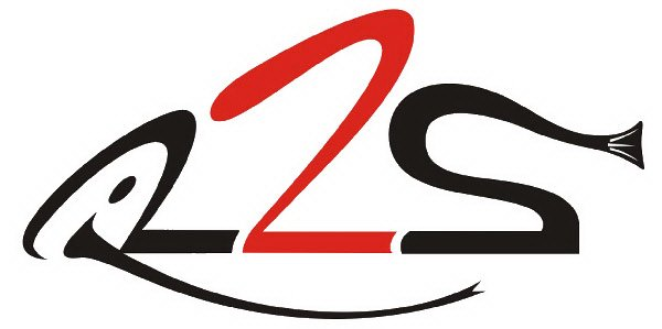 Trademark Logo R2S