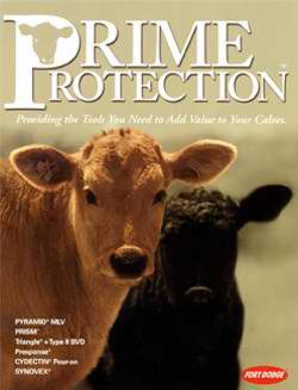  PRIME PROTECTION