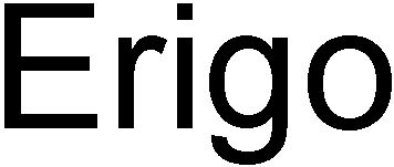 Trademark Logo ERIGO