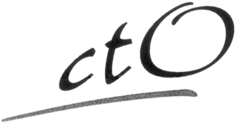 Trademark Logo CTO