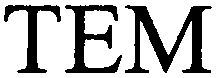 Trademark Logo TEM