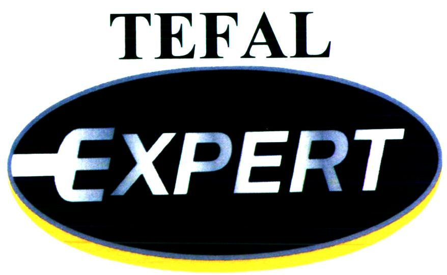  TEFAL EXPERT