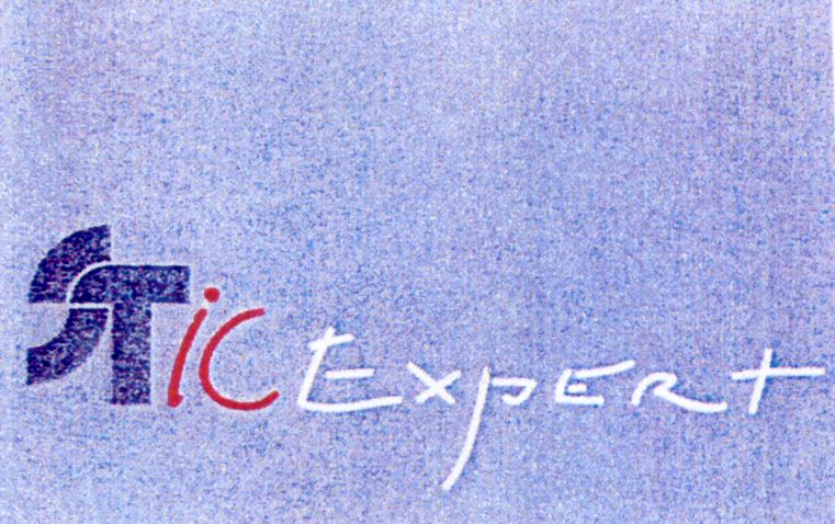 Trademark Logo STIC EXPERT