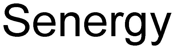 Trademark Logo SENERGY
