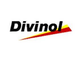 Trademark Logo DIVINOL