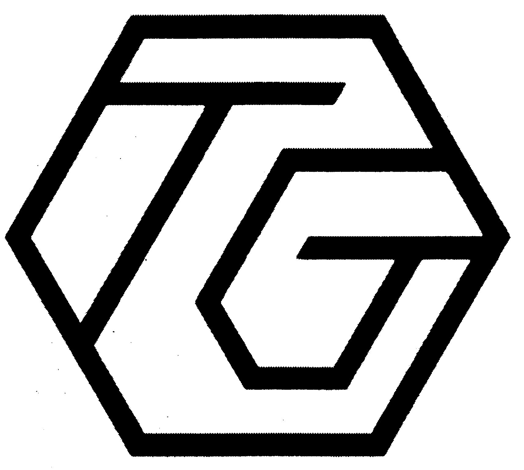  TG