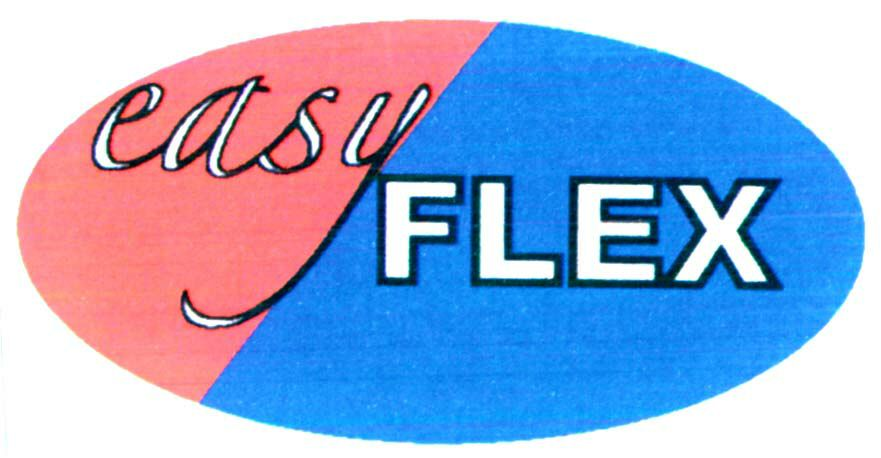 Trademark Logo EASY FLEX