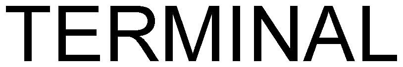 Trademark Logo TERMINAL