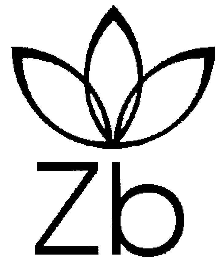 ZB