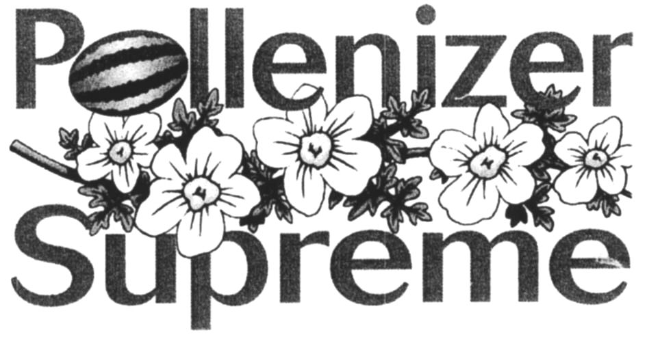 Trademark Logo POLLENIZER SUPREME