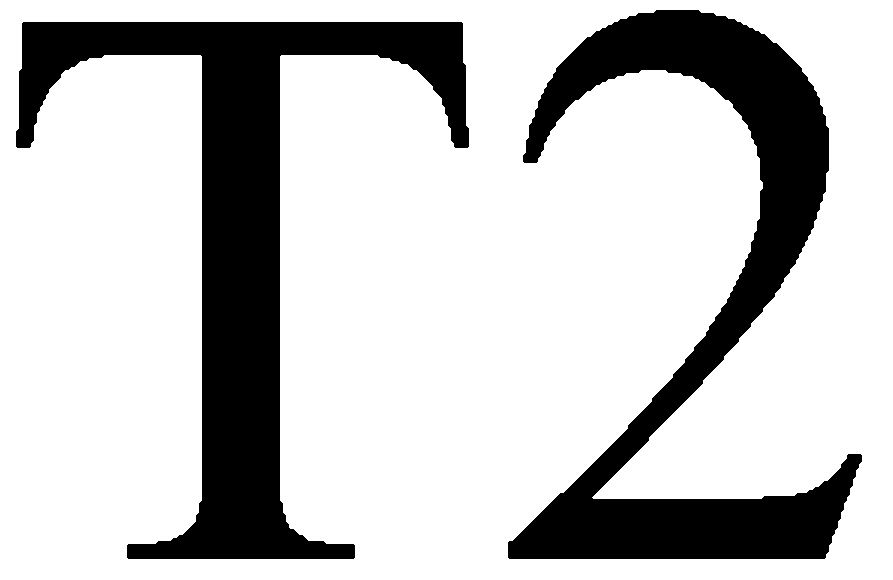 T2
