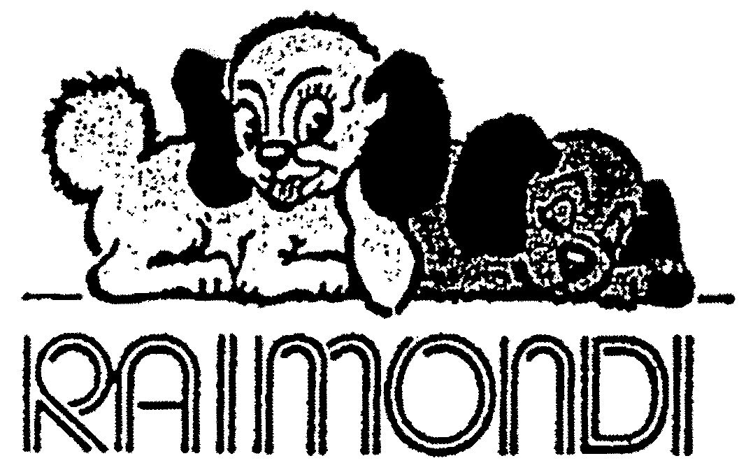 Trademark Logo RAIMONDI