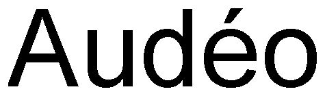 AUDÃO