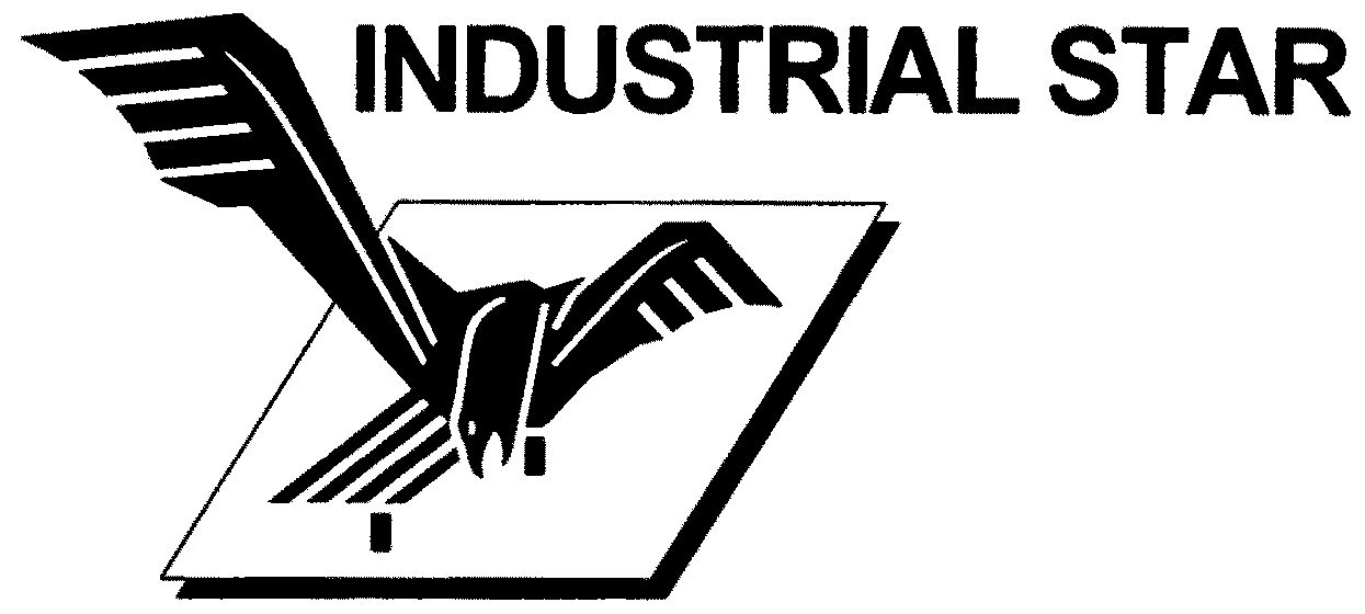  INDUSTRIAL STAR