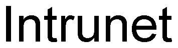 Trademark Logo INTRUNET