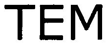 Trademark Logo TEM