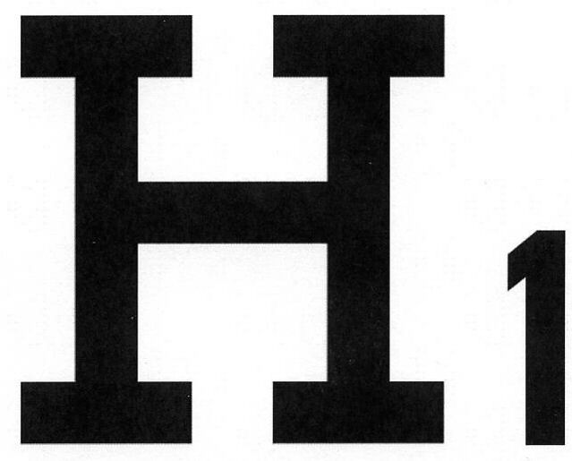 Trademark Logo H1