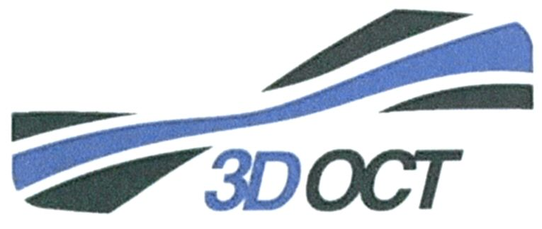  3D OCT