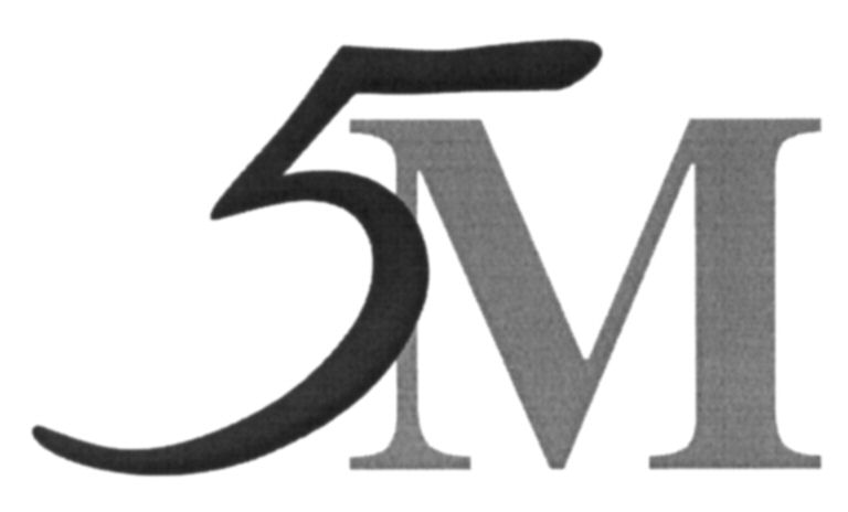  5M