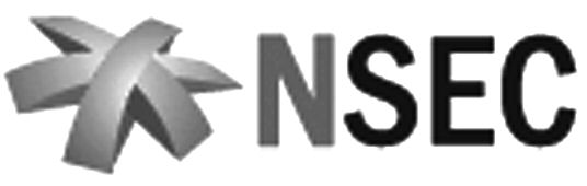 Trademark Logo NSEC